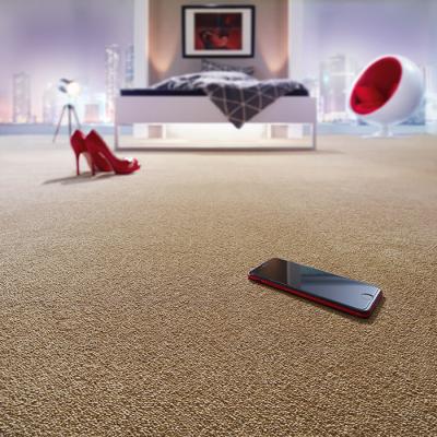 Malerbetrieb Michael Sigmund Ketsch Teppichboeden 05