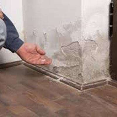 Malerbetrieb Michael Sigmund Ketsch Wasserschaedensanierung 02