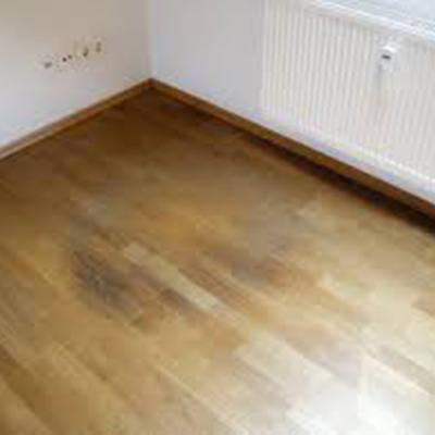 Malerbetrieb Michael Sigmund Ketsch Wasserschaedensanierung 03